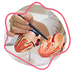 Cardiopatias estruturais