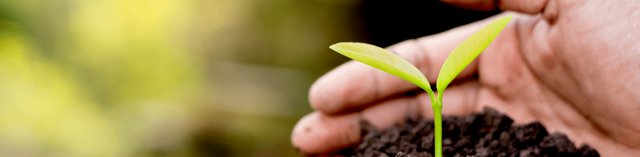 Sustentabilidade
