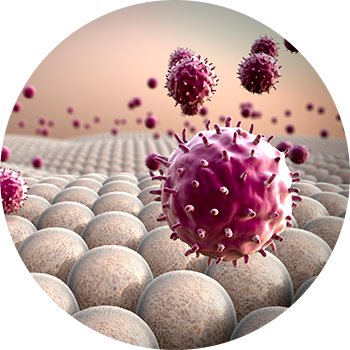 Célula cancerígena