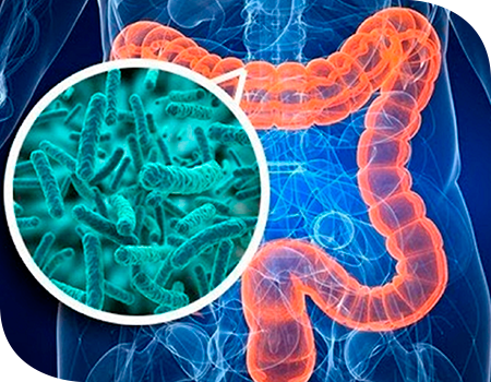 Prevenção de doenças intestinais