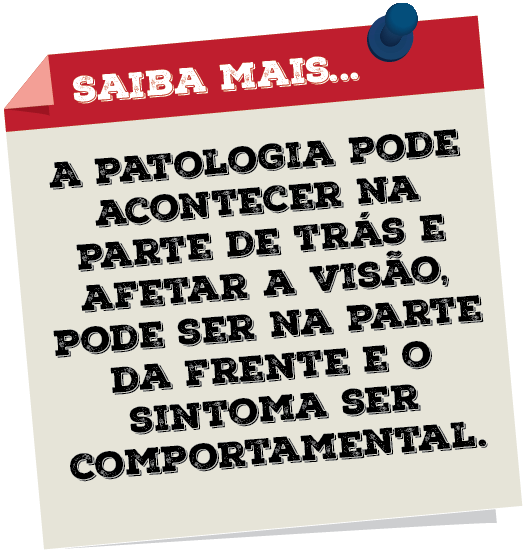 MAV - Saiba Mais 
