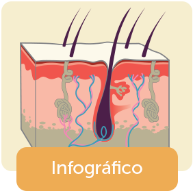 Câncer de pele - Infográfico