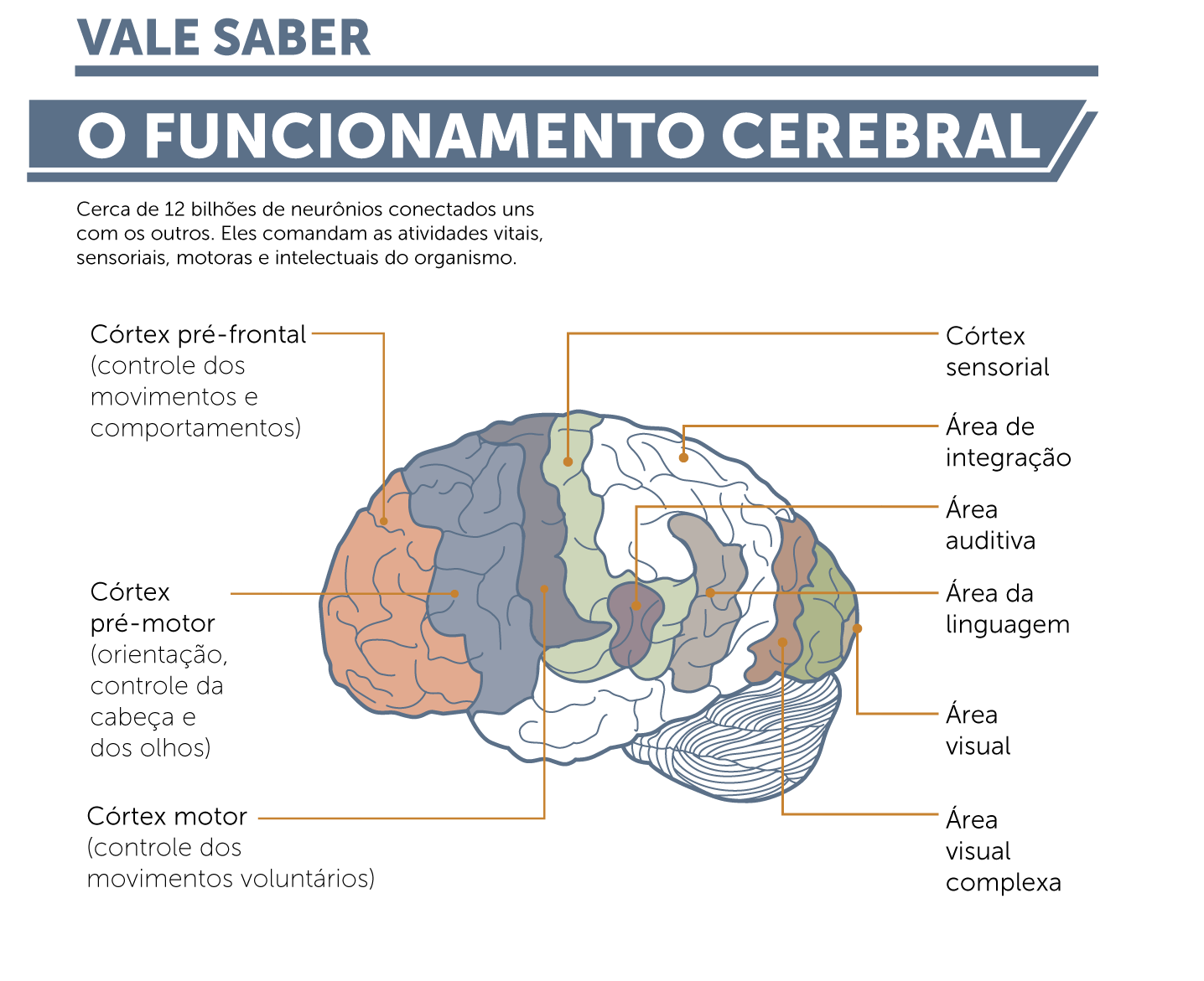 Epilepsia sem preconceito: os cuidados com pacientes nas fases