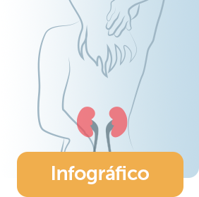 Infográfico - Doença Renal