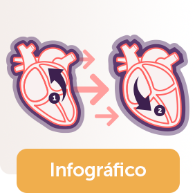 Infográfico - Pressão Alta