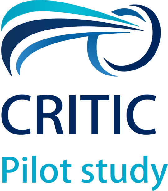 CRITIC